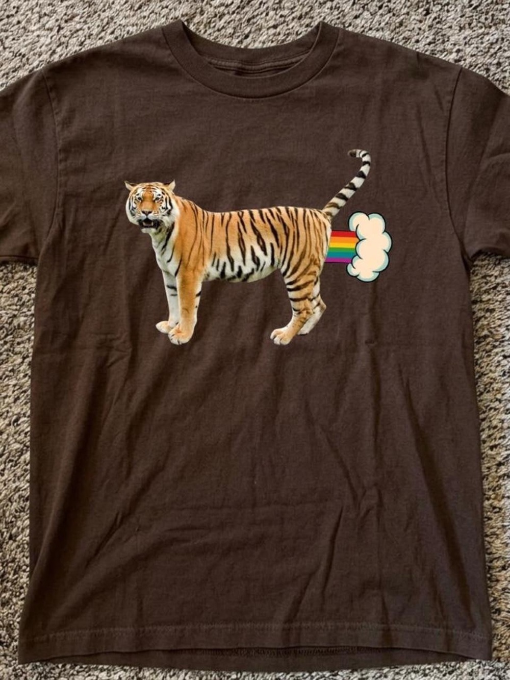 Gildan Brown Tee with Tiger and Rainbow Graphic